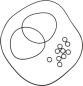 Preview: O-Ring-Kit_Zylinderkopf_Coolhead_Noss_ProDesign_